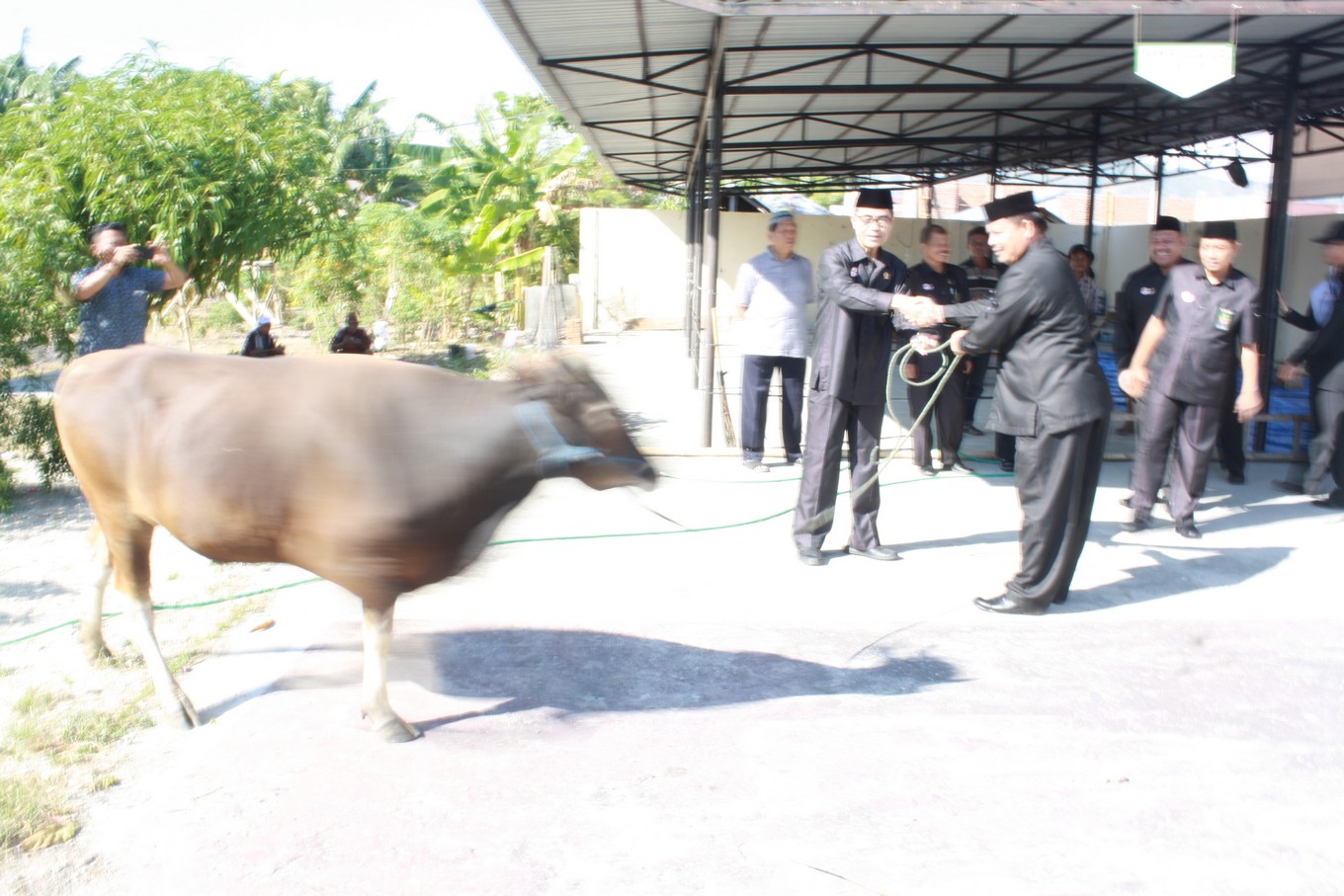 qurban 4