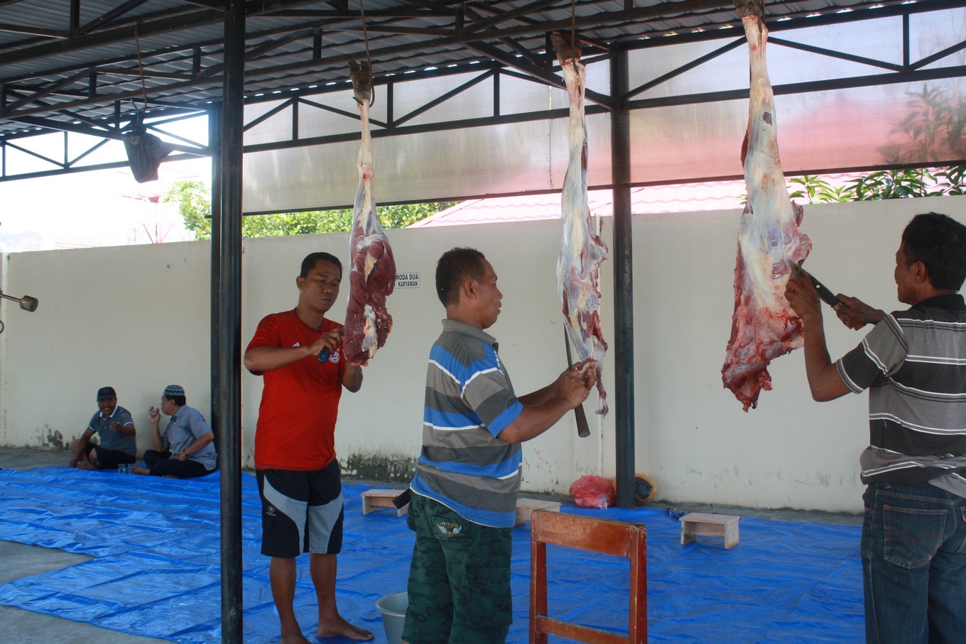 qurban 6