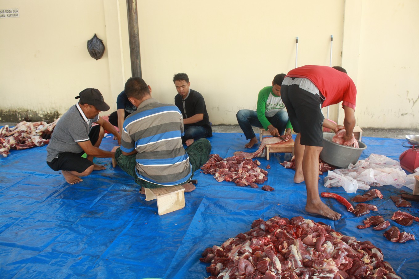 qurban 7
